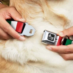 Dog Bone Seatbelt Buckle Collar - Italy Flags