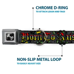 Dog Bone Seatbelt Buckle Collar - Born to Raise Hell Gray