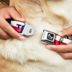 Dog Bone Seatbelt Buckle Collar - Texas Flag/TEXAS