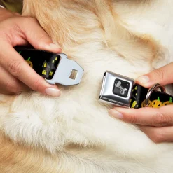Dog Bone Seatbelt Buckle Collar - Jack-o'-Lanterns/Haunted House Black/Yellow