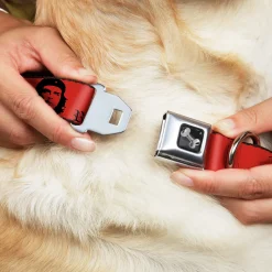 Dog Bone Seatbelt Buckle Collar - Che Red/Black