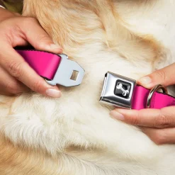 Dog Bone Seatbelt Buckle Collar - Hot Pink