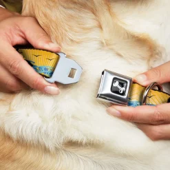 Dog Bone Seatbelt Buckle Collar - SUP w/Dog Yellows/Blues/Black
