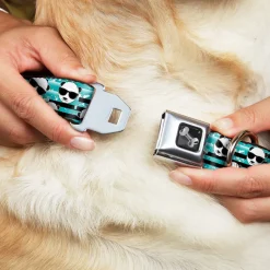 Dog Bone Seatbelt Buckle Collar - Multi Panda w/Sunglasses Stripe Turquoise/Black