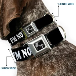 Dog Bone Seatbelt Buckle Collar - DUDE, I'M NOT YOUR BRO! Black/White