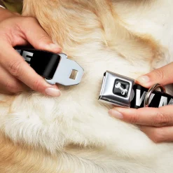 Dog Bone Seatbelt Buckle Collar - DON'T BRO ME IF YOU DON'T KNOW ME Black/White/Red