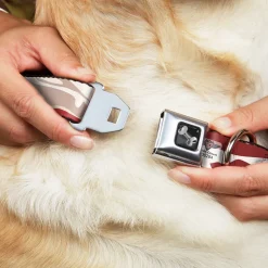 Dog Bone Seatbelt Buckle Collar - Bacon CLOSE-UP