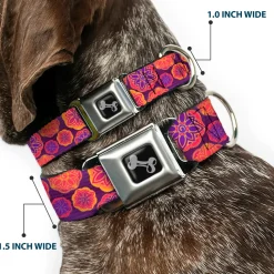 Dog Bone Seatbelt Buckle Collar - Boho Mandala Purples/Oranges/Pinks