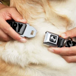 Dog Bone Seatbelt Buckle Collar - COOL STORY BRO Gray/Black