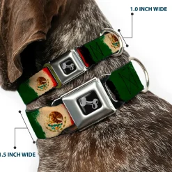 Dog Bone Seatbelt Buckle Collar - Mexico Flag Distressed Painting