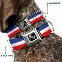 Dog Bone Seatbelt Buckle Collar - Stripes Blue/White/Red