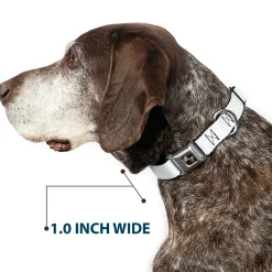 Dog Bone Seatbelt Buckle Collar - White