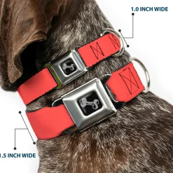 Dog Bone Seatbelt Buckle Collar - Solid Salmon Orange
