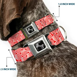 Dog Bone Seatbelt Buckle Collar - Peppermint Candies
