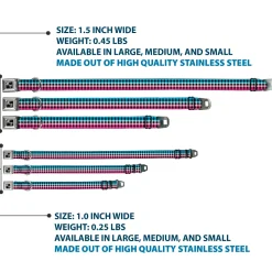 Dog Bone Seatbelt Buckle Collar - Buffalo Plaid Turquoise/Fuchsia Fade