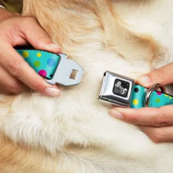 Dog Bone Seatbelt Buckle Collar - Dots Seafoam Green/Multi Pastel