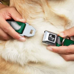 Dog Bone Seatbelt Buckle Collar - Mustaches Green/Sketch