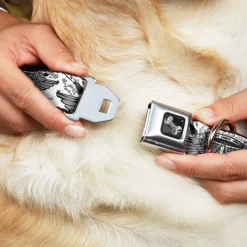 Dog Bone Seatbelt Buckle Collar - Phoenix Shield White