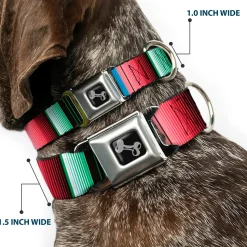 Dog Bone Seatbelt Buckle Collar - Zarape5 Vertical Multi Color Stripe