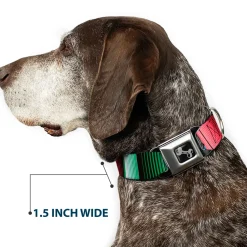 Dog Bone Seatbelt Buckle Collar - Zarape5 Vertical Multi Color Stripe