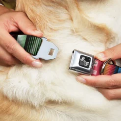 Dog Bone Seatbelt Buckle Collar - Zarape5 Vertical Multi Color Stripe