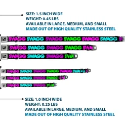 Dog Bone Seatbelt Buckle Collar - SWAGG Black/Hot Pink/Turquoise/Purple/Neon Green