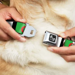 Dog Bone Seatbelt Buckle Collar - Algeria Flags