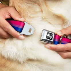 Dog Bone Seatbelt Buckle Collar - Flag Bisexual Pink/Purple/Blue