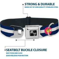 Dog Bone Seatbelt Buckle Collar - Colorado Flags6 Repeat Blue/White/Pink/Yellow
