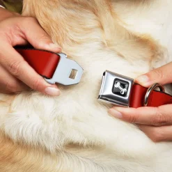 Dog Bone Seatbelt Buckle Collar - Red Print