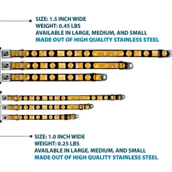 Dog Bone Seatbelt Buckle Collar - CHAMPION Belt/Icons Black/Golds