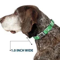 Dog Bone Seatbelt Buckle Collar - Bandana/Skulls White/Irish Green