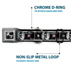 Dog Bone Seatbelt Buckle Collar - 100 Dollar Bill X-Ray Black/White