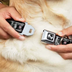 Dog Bone Seatbelt Buckle Collar - 100 Dollar Bill X-Ray Black/White