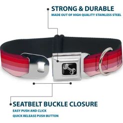 Dog Bone Seatbelt Buckle Collar - Spectrum Pink