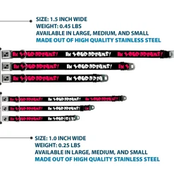 Dog Bone Seatbelt Buckle Collar - IN YOUR DREAMS! Black/White/Pink