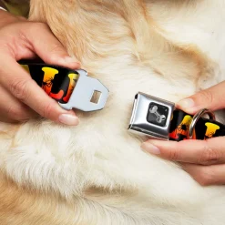 Dog Bone Seatbelt Buckle Collar - CALI Tropical Black/Multi Color