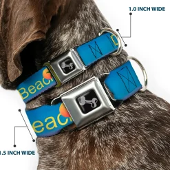 Dog Bone Seatbelt Buckle Collar - DAYTON BEACH Script/Sun/Palm Trees Blue Fade/Yellow/Oranges/Green