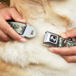 Dog Bone Seatbelt Buckle Collar - 100 Dollar Bill CLOSE-UP/Triple Benjamin