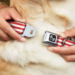 Dog Bone Seatbelt Buckle Collar - Triple Stripe White/Red