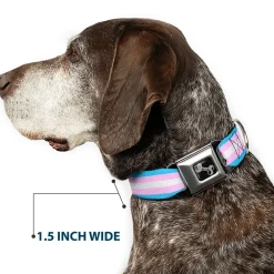 Dog Bone Seatbelt Buckle Collar - Flag Transgender Baby Blue/Baby Pink/White