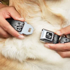 Dog Bone Seatbelt Buckle Collar - King Skull Blocks/Rays Grays