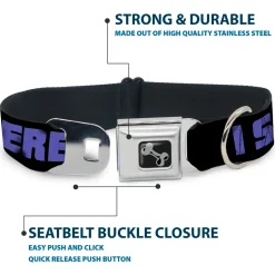 Dog Bone Seatbelt Buckle Collar - I SEE WHAT YOU DID THERE Weathered Black/Purple