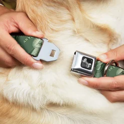 Dog Bone Seatbelt Buckle Collar - One Dollar Bill Pyramid/Bald Eagle