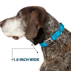 Dog Bone Seatbelt Buckle Collar - Solid Water Blue
