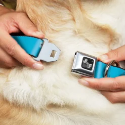 Dog Bone Seatbelt Buckle Collar - Solid Water Blue