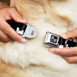 Dog Bone Seatbelt Buckle Collar - Seattle Solid Skyline Black/White