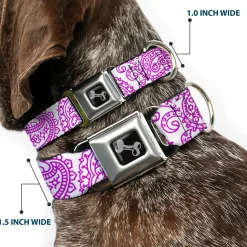 Dog Bone Seatbelt Buckle Collar - Bandana/Skulls White/Purple