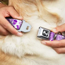 Dog Bone Seatbelt Buckle Collar - Bandana/Skulls White/Purple
