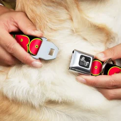 Dog Bone Seatbelt Buckle Collar - NO CHANCE BRO Black/Yellow/Red